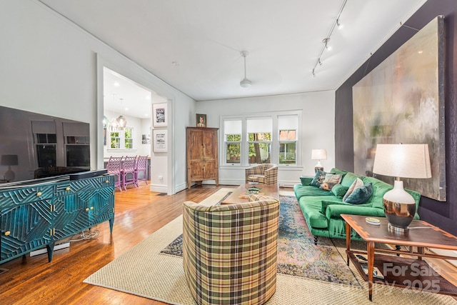 1801 E 8th St, Charlotte, NC 28204 - living area featuring rail lighting, wood finished floors, and plenty of natural light