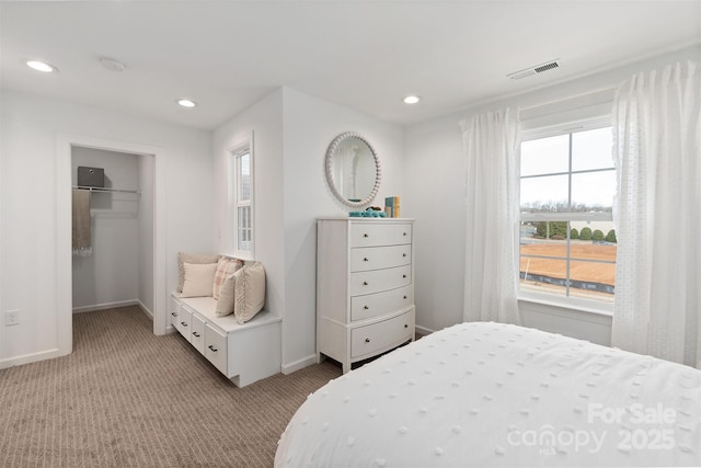102 Cartington Way Unit Haf0042, Mooresville, NC 28115 - bedroom with light colored carpet, recessed lighting, a spacious closet, and a closet