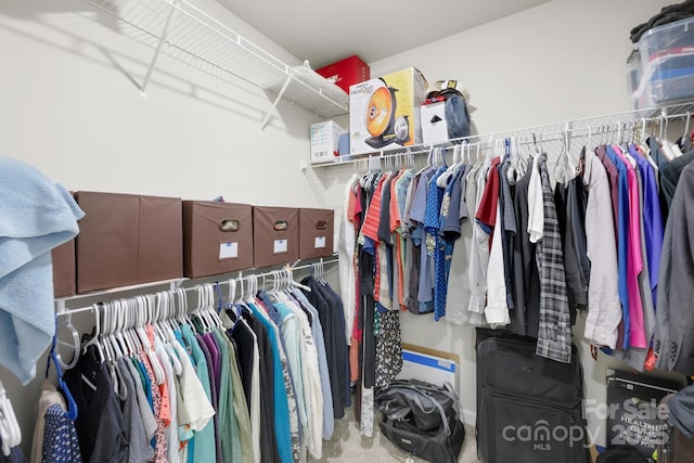 5204 Belstone Ln, Charlotte, NC 28215 - spacious closet with carpet floors