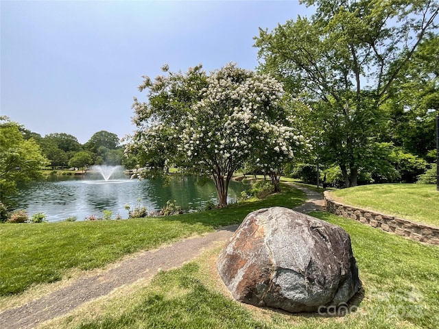 2619 Quailrush Rd, Charlotte, NC 28226 - water view