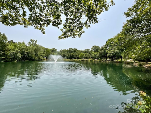 2619 Quailrush Rd, Charlotte, NC 28226 - water view