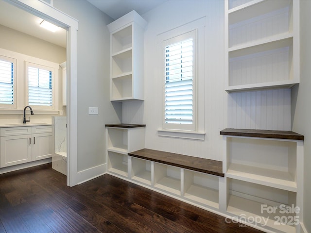 9426 Greyson Ridge Dr, Charlotte, NC 28277 - mudroom with a sink, dark wood-style flooring, plenty of natural light, and baseboards