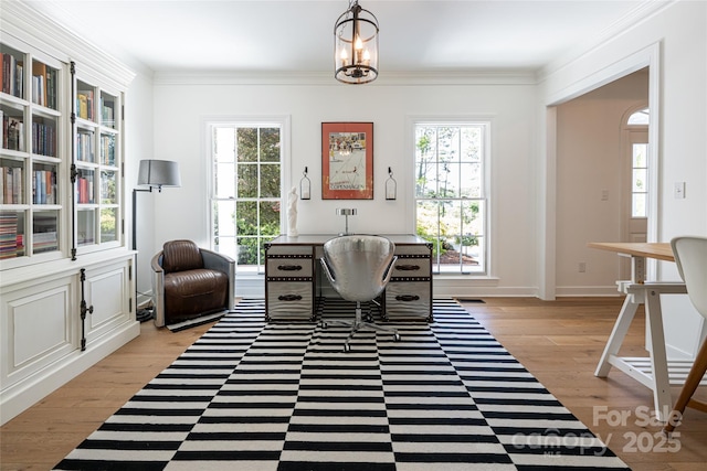 55 Foster Estate Dr, Asheville, NC 28806 - home office with healthy amount of natural light, light wood-style flooring, and ornamental molding