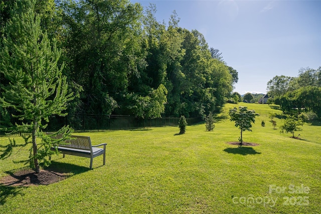 55 Foster Estate Dr, Asheville, NC 28806 - view of yard