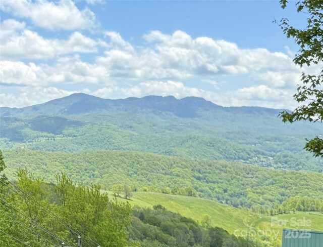 44 Fox Paw Ln, Banner Elk, NC 28604