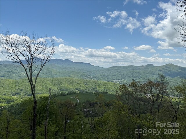 44 Fox Paw Ln, Banner Elk, NC 28604