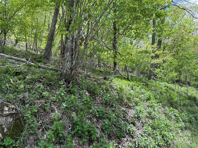44 Fox Paw Ln, Banner Elk, NC 28604