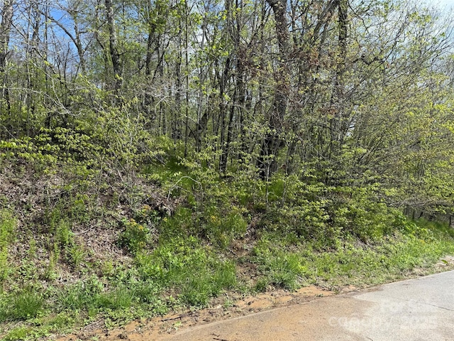 44 Fox Paw Ln, Banner Elk, NC 28604