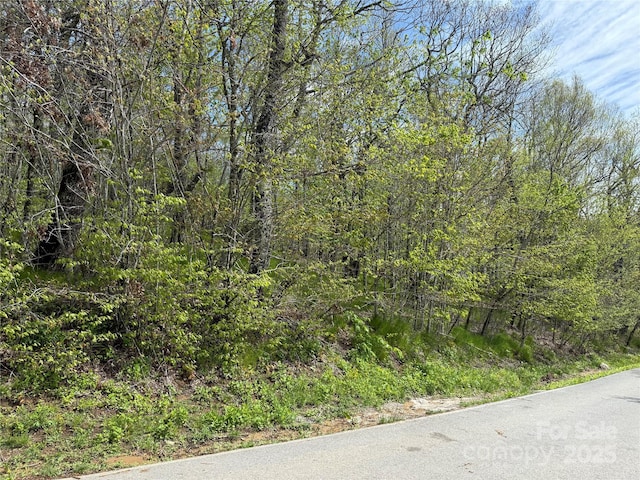44 Fox Paw Ln, Banner Elk, NC 28604
