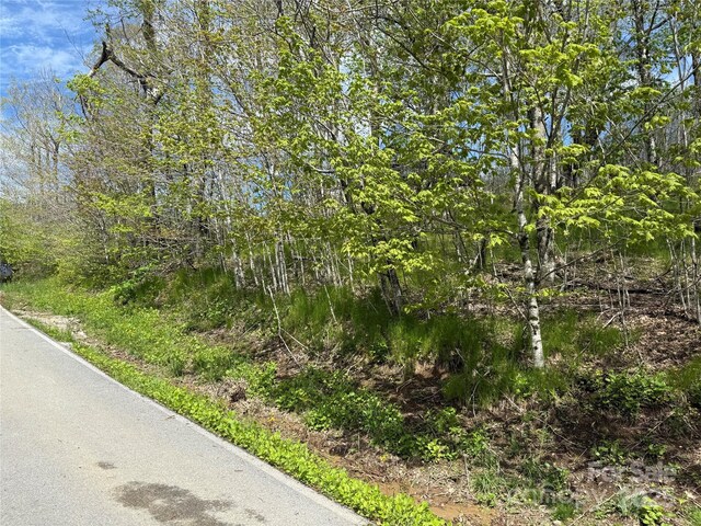 44 Fox Paw Ln, Banner Elk, NC 28604