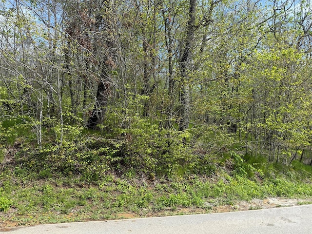 44 Fox Paw Ln, Banner Elk, NC 28604