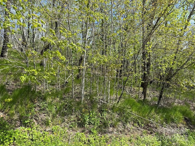 44 Fox Paw Ln, Banner Elk, NC 28604