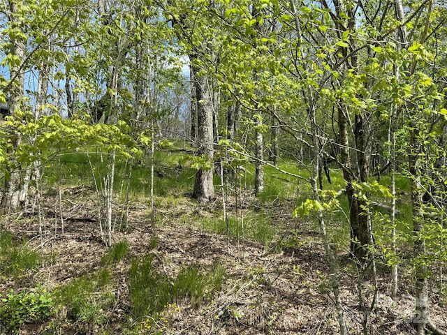 44 Fox Paw Ln, Banner Elk, NC 28604