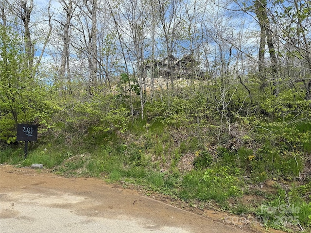 44 Fox Paw Ln, Banner Elk, NC 28604