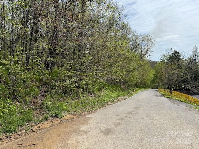 44 Fox Paw Ln, Banner Elk, NC 28604