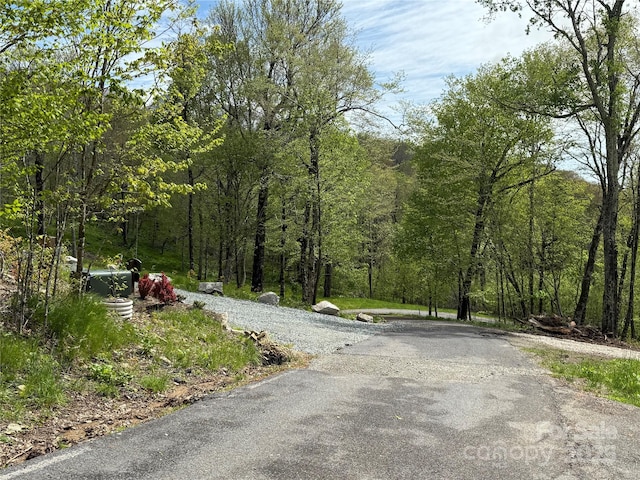 44 Fox Paw Ln, Banner Elk, NC 28604