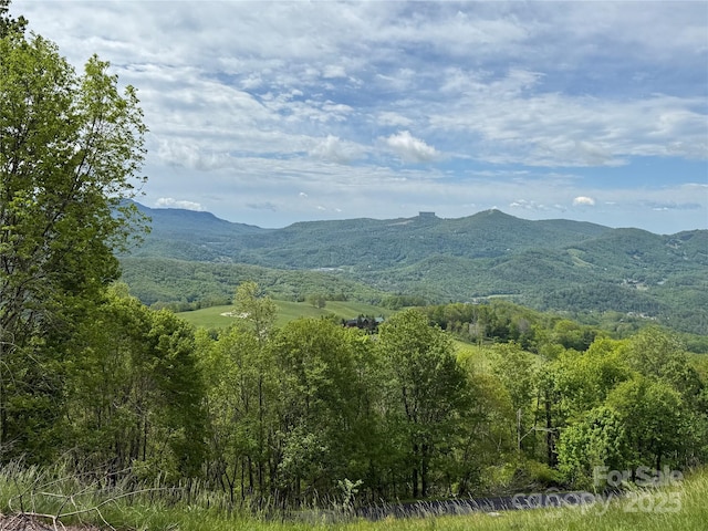 44 Fox Paw Ln, Banner Elk, NC 28604