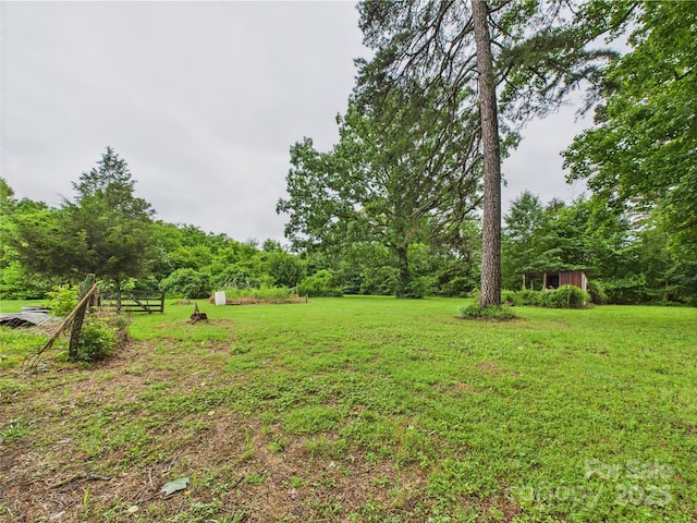 3055 16th St NE, Hickory, NC 28601 - view of grassy yard