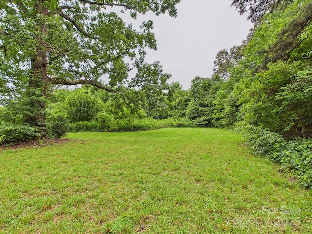 3055 16th St NE, Hickory, NC 28601 - view of grassy yard featuring a forest view