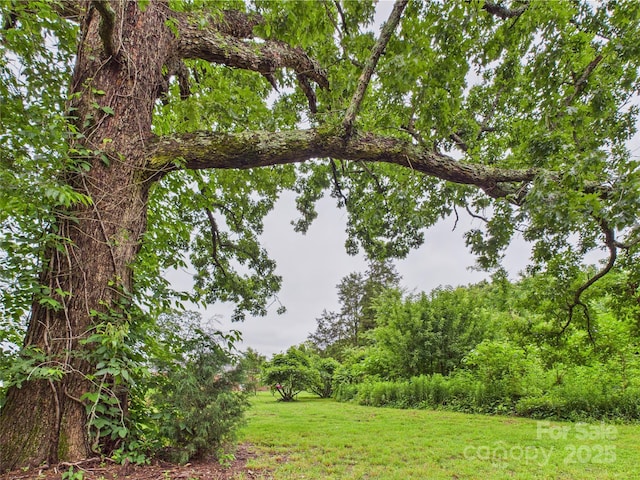 3055 16th St NE, Hickory, NC 28601 - water view