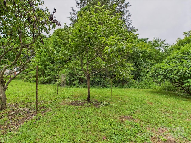 3055 16th St NE, Hickory, NC 28601 - view of grassy yard