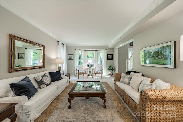9920 White Cascade Dr, Charlotte, NC 28269 - living room featuring crown molding and carpet floors
