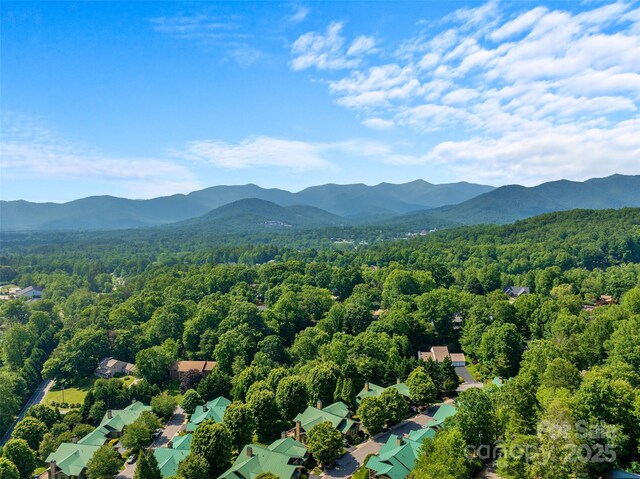 50 Mandolin Dr, Black Mountain, NC 28711 - photo 31