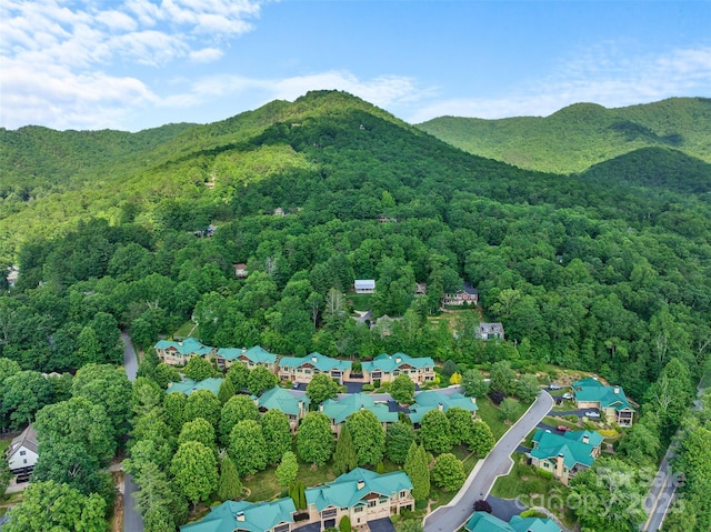 50 Mandolin Dr, Black Mountain, NC 28711 - photo 32