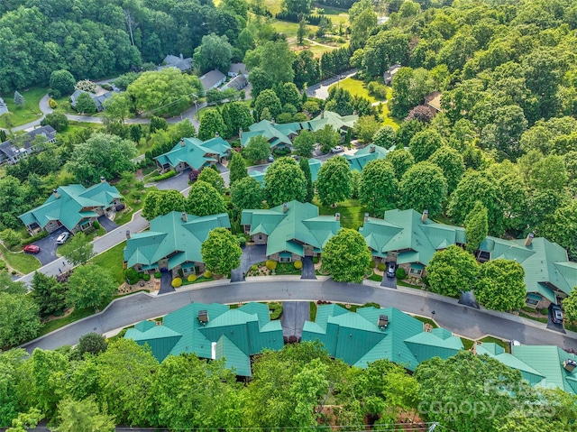 50 Mandolin Dr, Black Mountain, NC 28711 - photo 34
