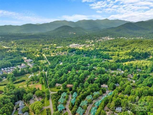 50 Mandolin Dr, Black Mountain, NC 28711 - photo 35