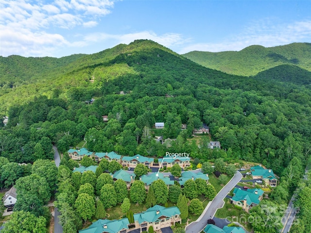 50 Mandolin Dr, Black Mountain, NC 28711 - photo 36
