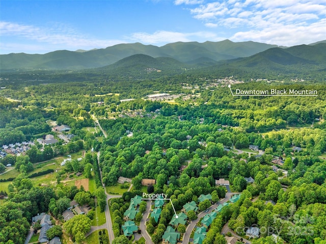 50 Mandolin Dr, Black Mountain, NC 28711 - photo 37