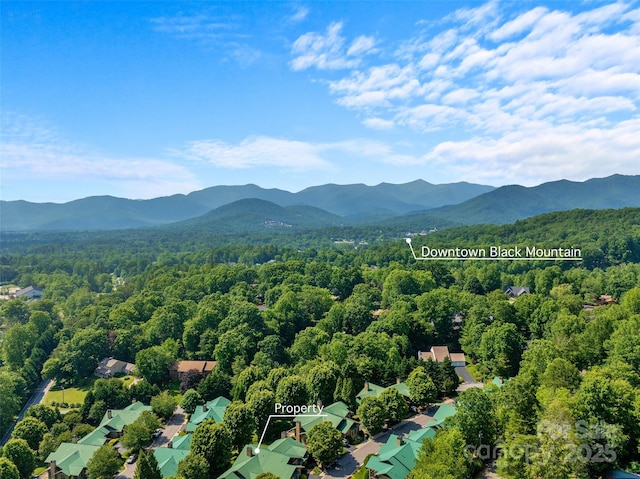 50 Mandolin Dr, Black Mountain, NC 28711 - photo 38