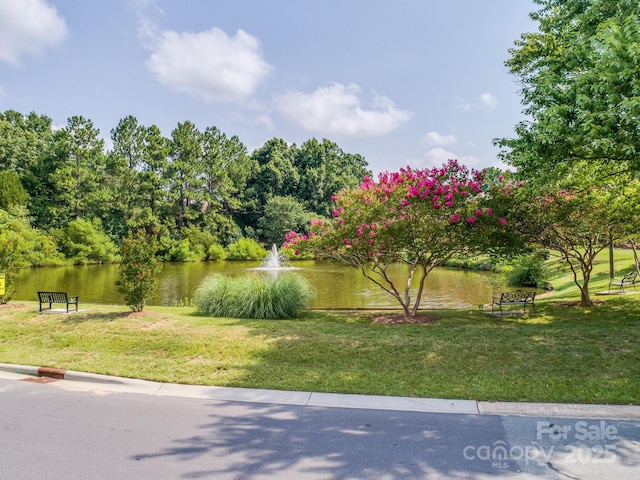 6817 Dumbarton Dr, Charlotte, NC 28210 - water view