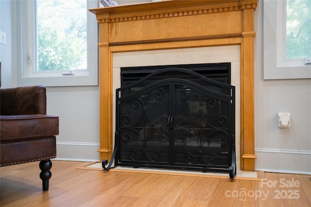 21 Kylie Grace Ln, Candler, NC 28715 - detailed view of a fireplace, wood finished floors, and baseboards