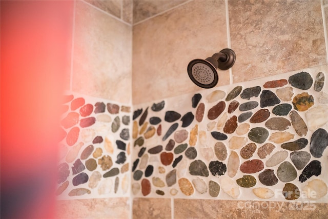 21 Kylie Grace Ln, Candler, NC 28715 - bathroom view of a tile shower