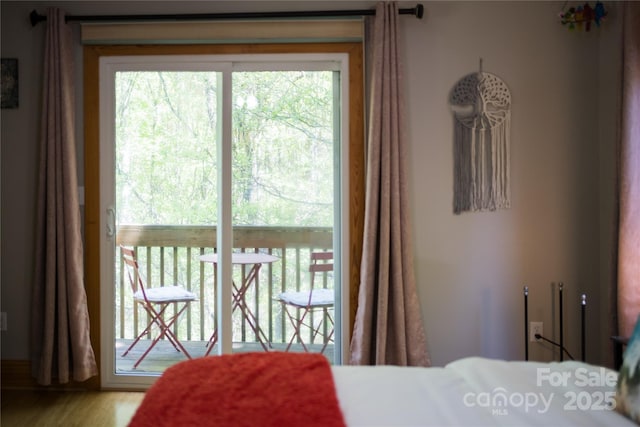 21 Kylie Grace Ln, Candler, NC 28715 - bedroom featuring access to outside and wood finished floors
