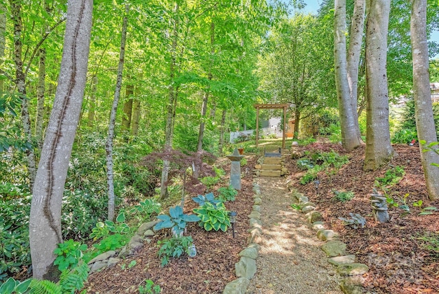 21 Kylie Grace Ln, Candler, NC 28715 - view of undeveloped land