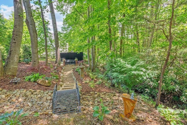 21 Kylie Grace Ln, Candler, NC 28715 - view of yard