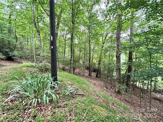 98 Long Pine Dr, Mills River, NC 28759 - photo 3