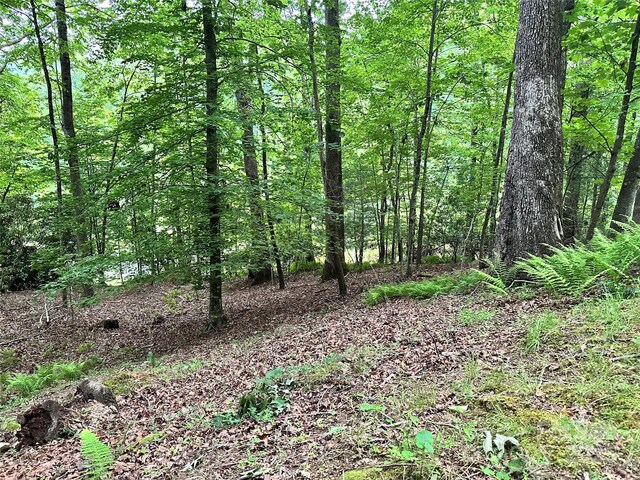 98 Long Pine Dr, Mills River, NC 28759 - photo 18