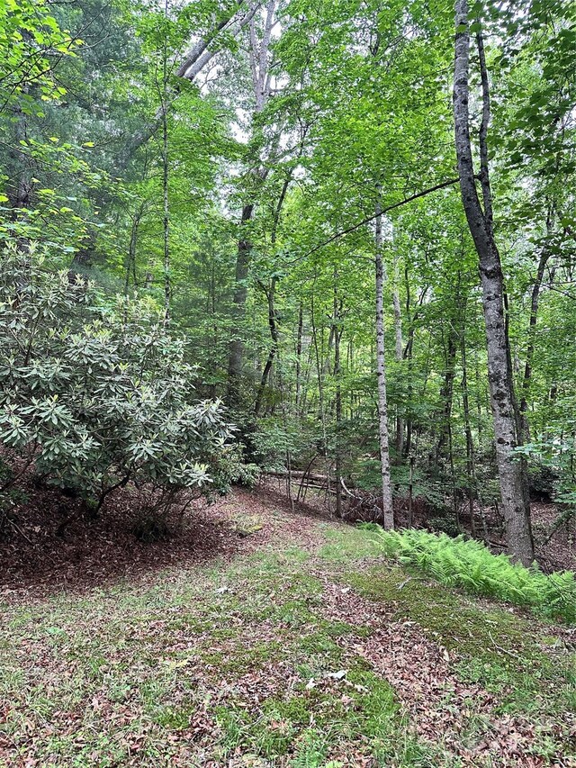 98 Long Pine Dr, Mills River, NC 28759 - photo 19