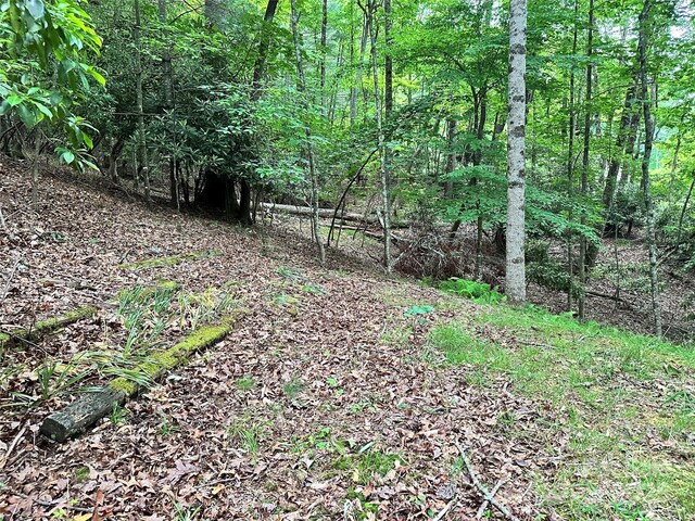 98 Long Pine Dr, Mills River, NC 28759 - photo 20