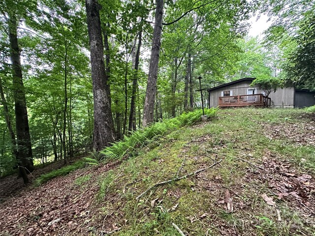 98 Long Pine Dr, Mills River, NC 28759 - photo 21