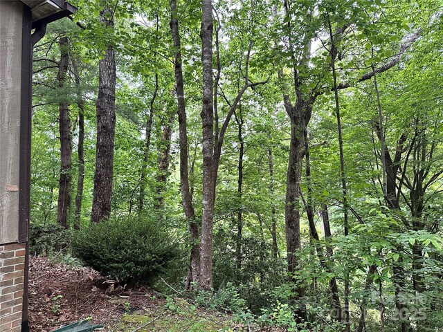 98 Long Pine Dr, Mills River, NC 28759 - photo 23