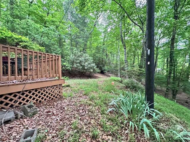 98 Long Pine Dr, Mills River, NC 28759 - photo 24
