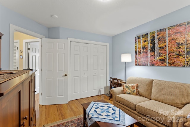 40 Avonlea Ln, Flat Rock, NC 28731 - living area with light wood-style floors