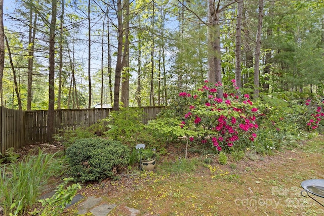 40 Avonlea Ln, Flat Rock, NC 28731 - view of fenced backyard