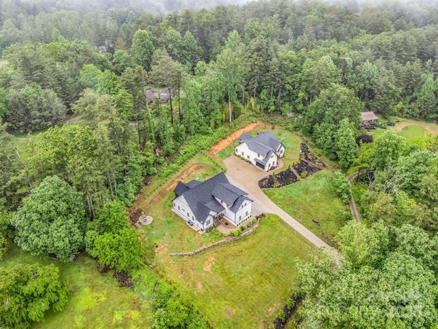165 Kirkwood Hill Ln, Hendersonville, NC 28739 - photo 48