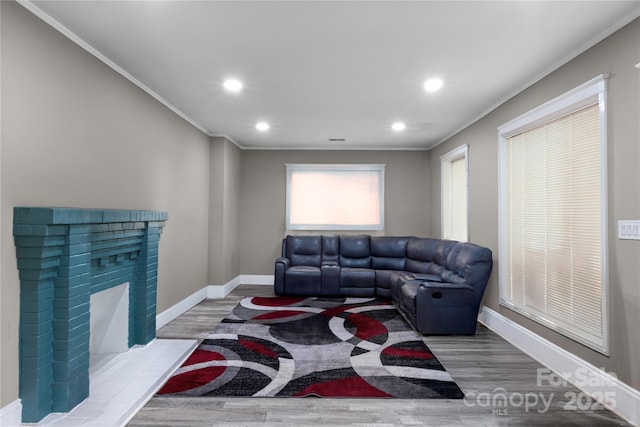 224 E Steele St, Salisbury, NC 28144 - living area featuring wood finished floors, ornamental molding, baseboards, recessed lighting, and a fireplace